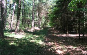 Rad, Reiten, Wandern Rad, Reiten, Wandern