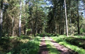 Rad, Reiten, Wandern Rad, Reiten, Wandern