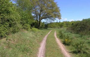 Rad, Reiten, Wandern Rad, Reiten, Wandern