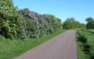 Rad, Reiten, Wandern Rad, Reiten, Wandern