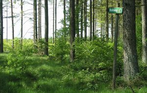 Rad, Reiten, Wandern Rad, Reiten, Wandern