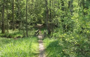 Rad, Reiten, Wandern Rad, Reiten, Wandern