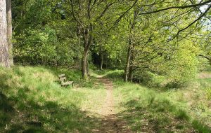 Rad, Reiten, Wandern Rad, Reiten, Wandern