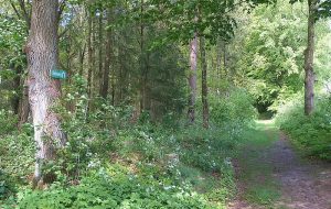 Rad, Reiten, Wandern Rad, Reiten, Wandern