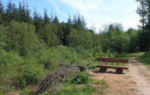 Rad, Reiten, Wandern Rad, Reiten, Wandern