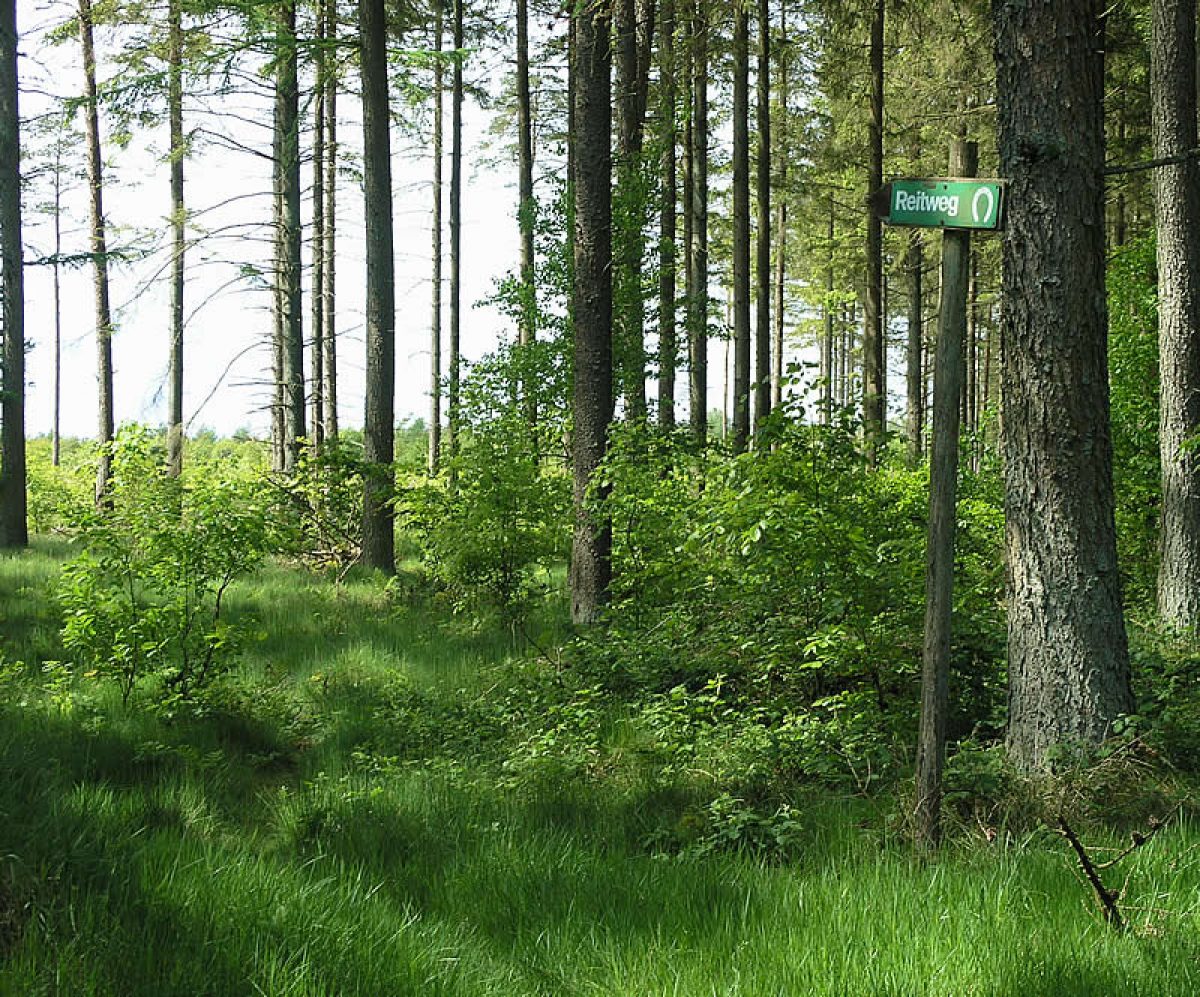 Rad, Reiten, Wandern