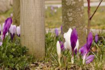 Neues aus der Gemeinde