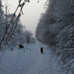 Winter in Wallsbüll - Foto: Anja P.