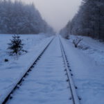 Winter in Wallsbüll - Foto: Anja P.