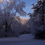 Winter in Wallsbüll - Foto: Anja P.