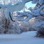 Winter in Wallsbüll - Foto: Anja P.
