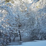 Winter in Wallsbüll - Foto: Anja P.