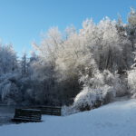 Winter in Wallsbüll - Foto: Anja P.