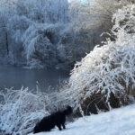 Winter in Wallsbüll - Foto: Anja P.