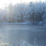 Winter in Wallsbüll - Foto: Anja P.