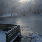 Winter in Wallsbüll - Foto: Anja P.