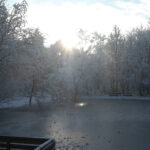 Winter in Wallsbüll - Foto: Anja P.