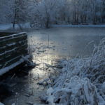 Winter in Wallsbüll - Foto: Anja P.