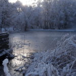 Winter in Wallsbüll - Foto: Anja P.