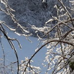 Winter in Wallsbüll - Foto: Anja P.