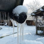 Winter in Wallsbüll - Foto: Anja P.