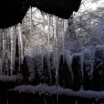 Winter in Wallsbüll - Foto: Anja P.