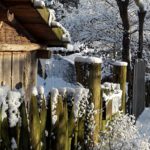 Winter in Wallsbüll - Foto: Anja P.