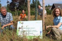 Wallsbüll hat Naturschutzmaßnahmen erfolgreich umgesetzt